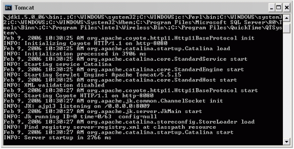 Tomcat's initialization messages